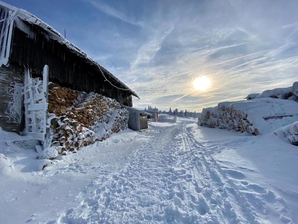 Sw Apartamenty Czarna Gora Heudorf Exterior foto